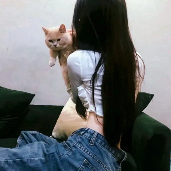 女朋友的女朋友 高清封面